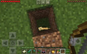 Screenshot_20201107-180857_Minecraft.jpg